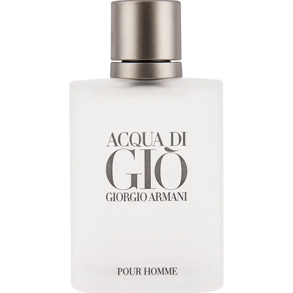 Giorgio Armani Acqua di Gio Pour Homme 100ml
