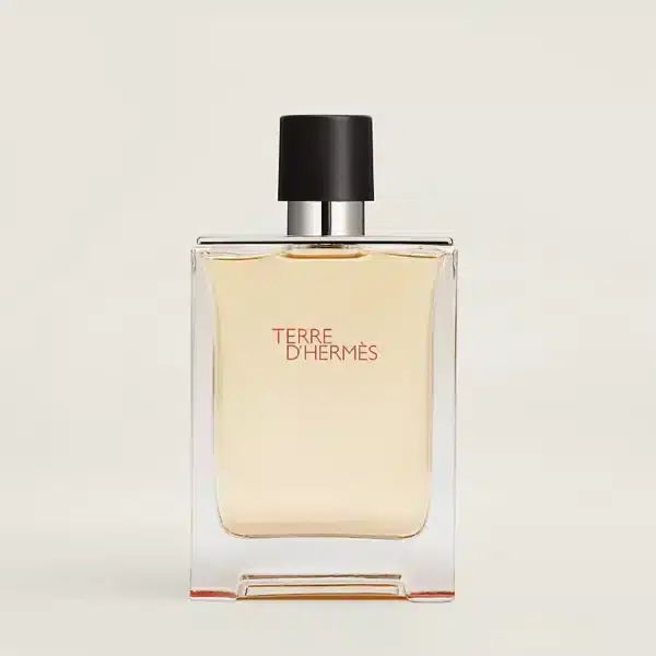 Hermes Terre D'Hermes Edt 100 ml