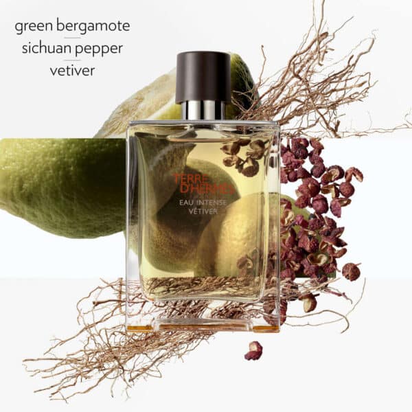 HERMÈS Terre D' Hermès Eau Intense Vetiver EdP 50 ml