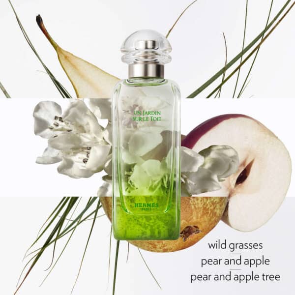 Hermes Un Jardin Sur Le Toit Edt 100 ml