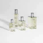 HERMÈS H24 EdT 50 ml
